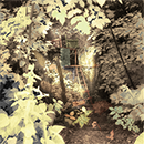 treehouse button
